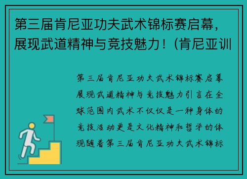 第三届肯尼亚功夫武术锦标赛启幕，展现武道精神与竞技魅力！(肯尼亚训练营)