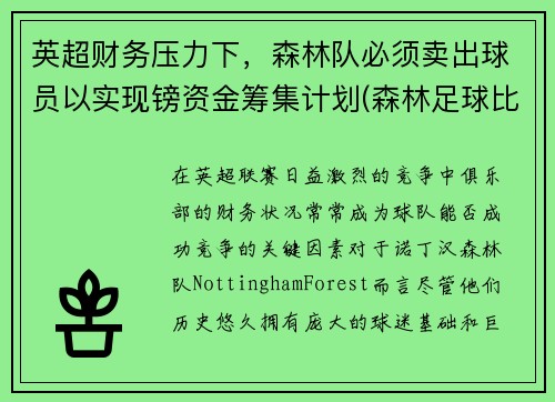 英超财务压力下，森林队必须卖出球员以实现镑资金筹集计划(森林足球比赛)