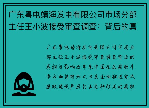 广东粤电靖海发电有限公司市场分部主任王小波接受审查调查：背后的真相与影响